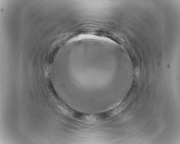 X0000087710423200706011814