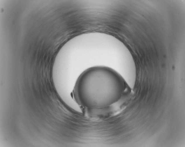 X0000087710428200706011814