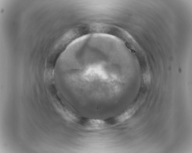 X0000087710429200706011814