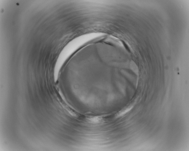 X0000087710432200706011814