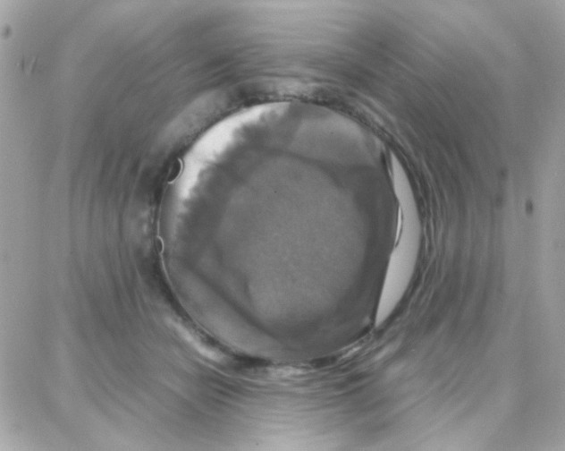 X0000087710462200706011814