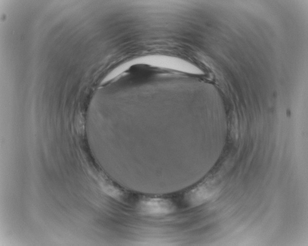 X0000087710467200706011814