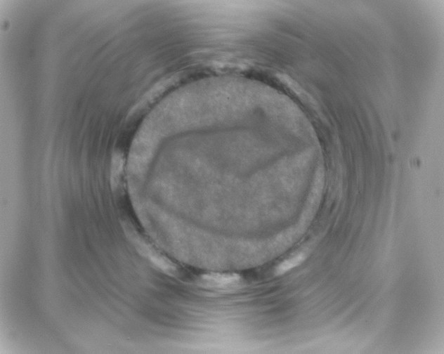X0000087710480200706011814