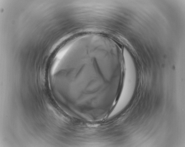 X0000087710484200706011813
