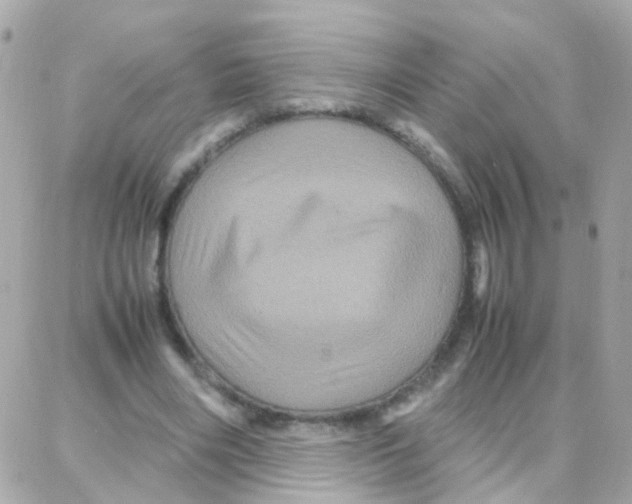 X0000087710490200706011813