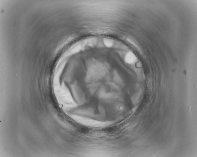 X0000087710491200706011813