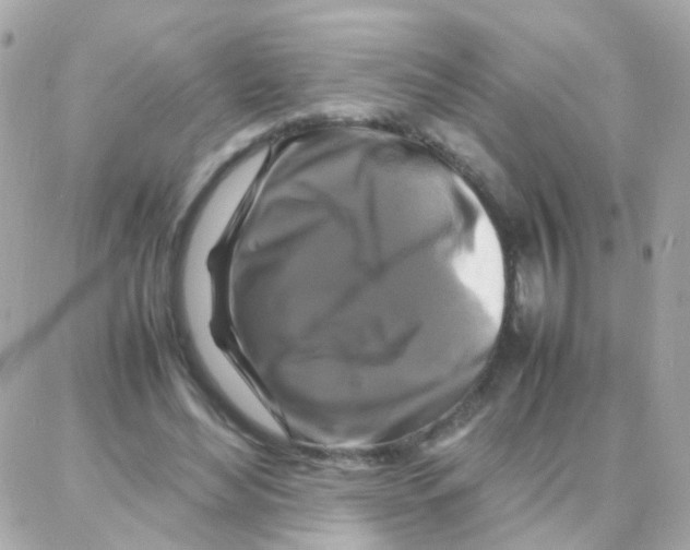 X0000087710492200706011813