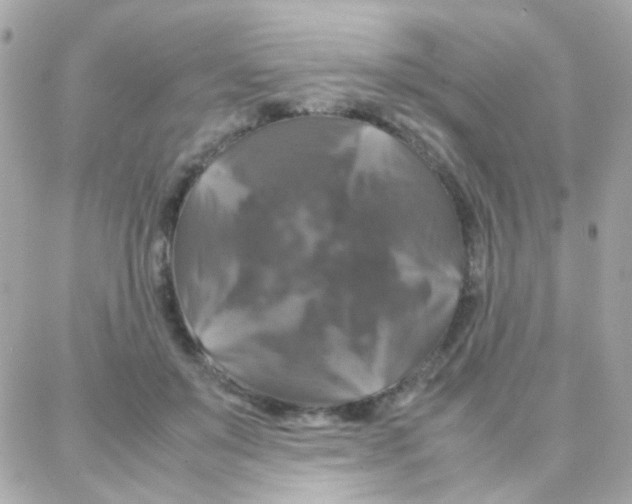 X0000087710503200706011813
