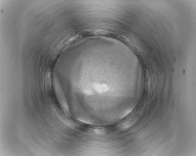 X0000087710506200706011813