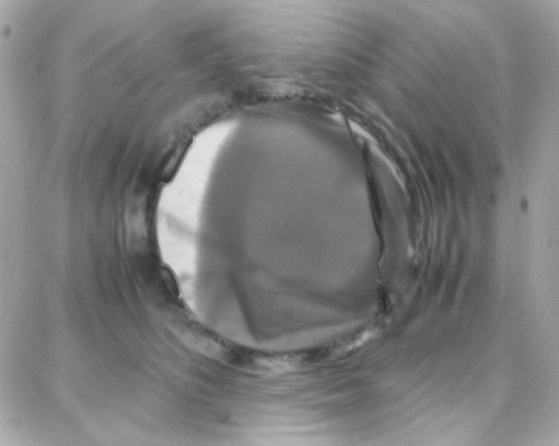 X0000087710516200706011813
