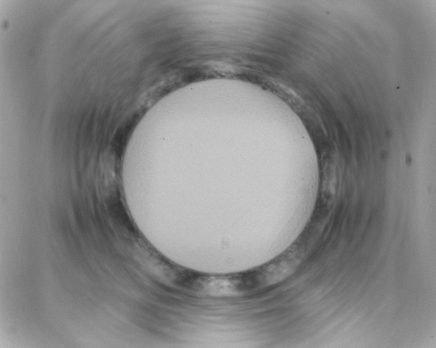 X0000087710518200706011813