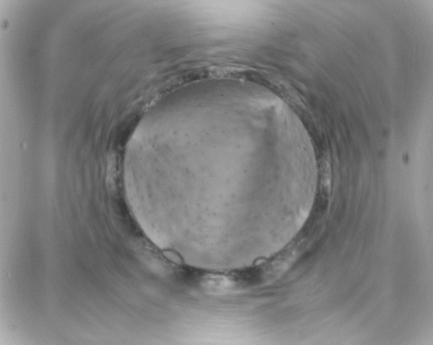X0000087710519200706011813