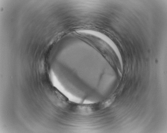 X0000087710520200706011813