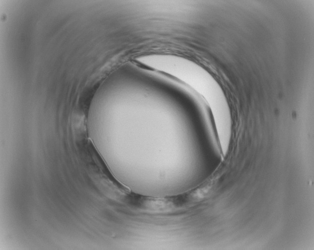 X0000087710521200706011813