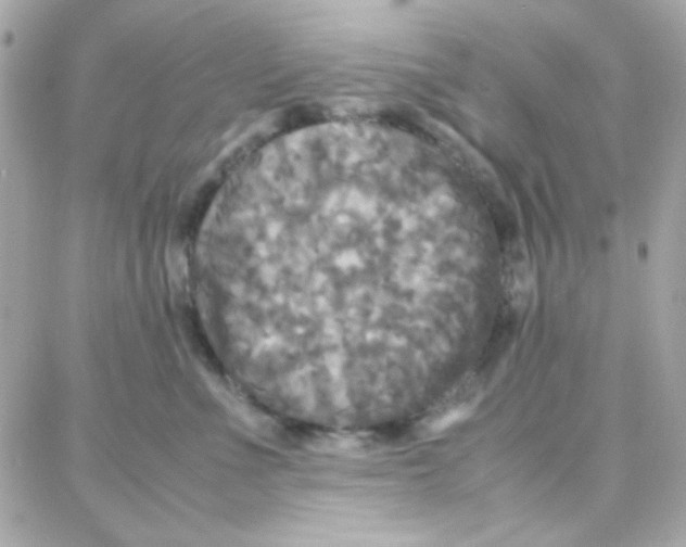 X0000087710523200706011813