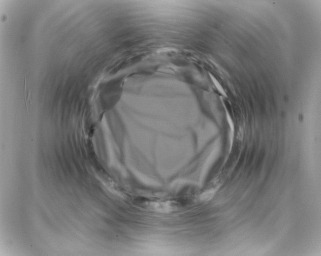 X0000087710524200706011813