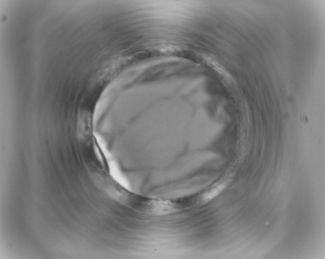 X0000087710528200706011813