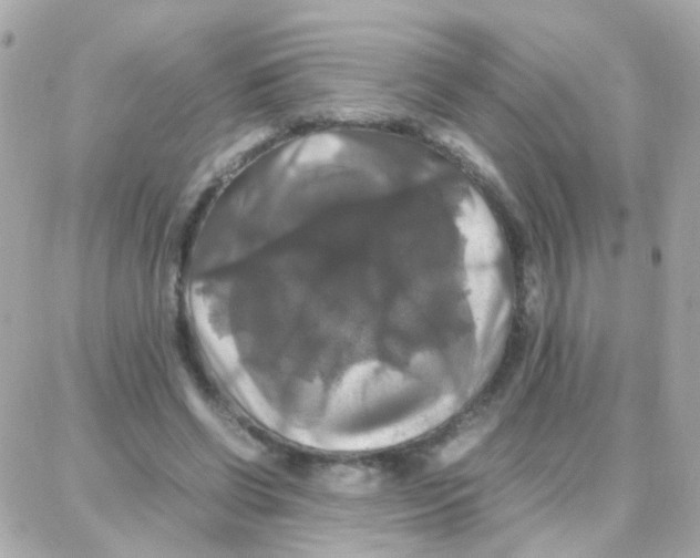 X0000087710542200706011812