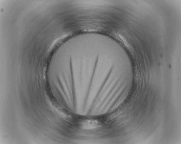 X0000087710543200706011812