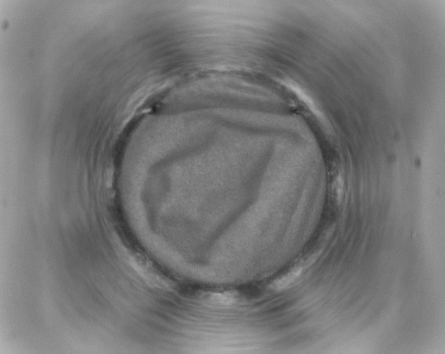 X0000087710548200706011812