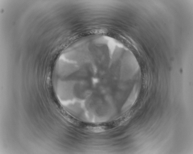 X0000087710553200706011812