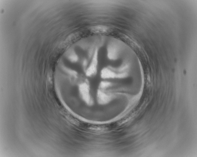 X0000087710561200706011812