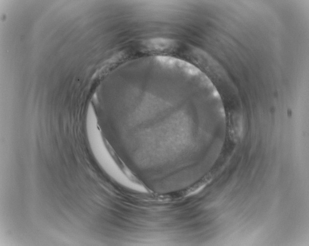 X0000087710563200706011812