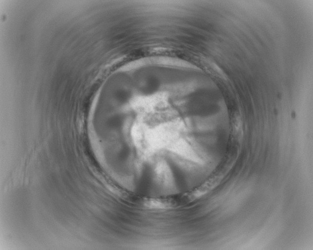 X0000087710565200706011812