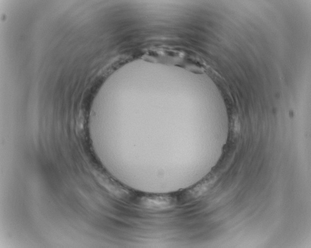 X0000087710567200706011812