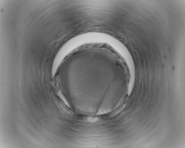 X0000087710570200706011813