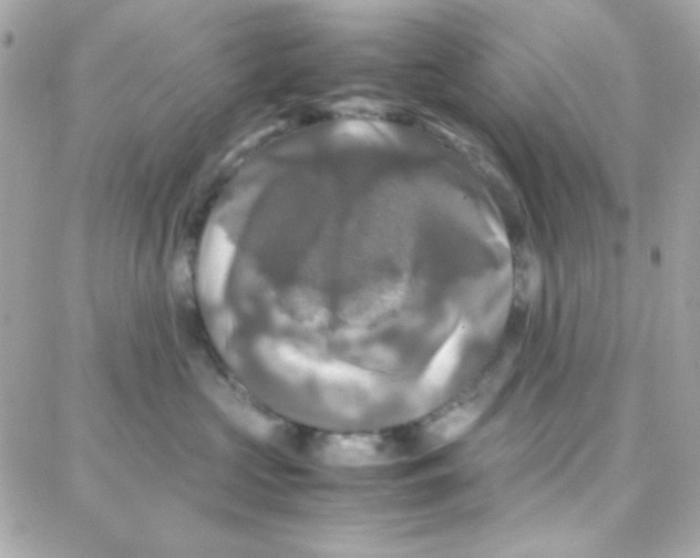 X0000087710573200706011813