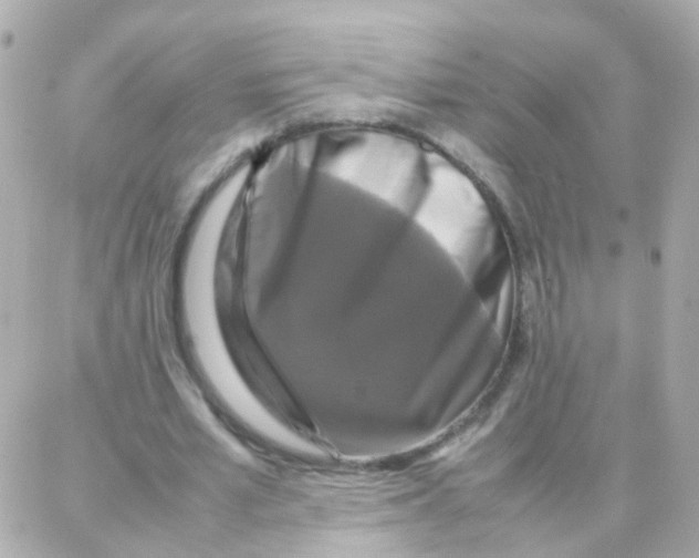 X0000087710581200706011812