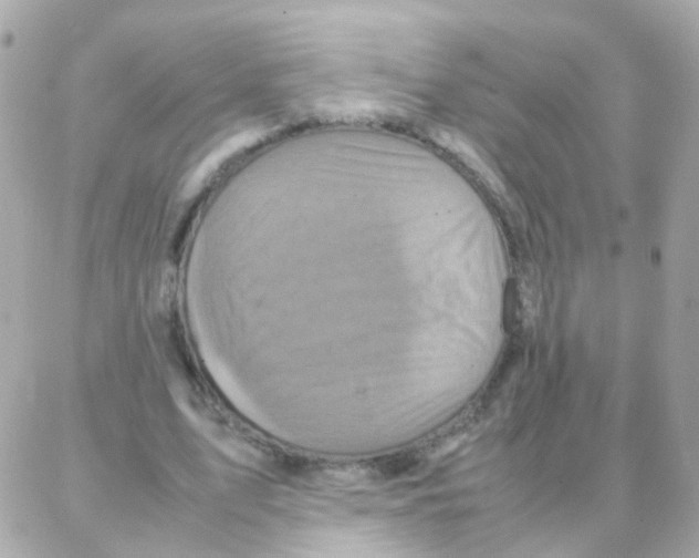 X0000087710583200706011812