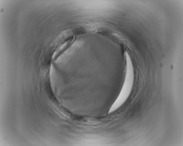 X0000087710601200706011811