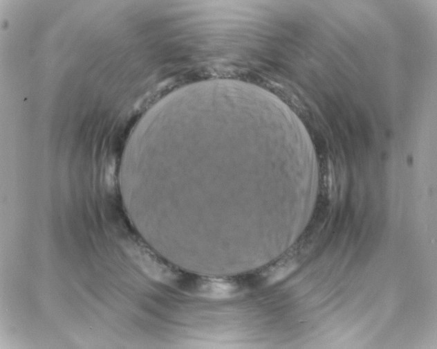 X0000087710610200706011811