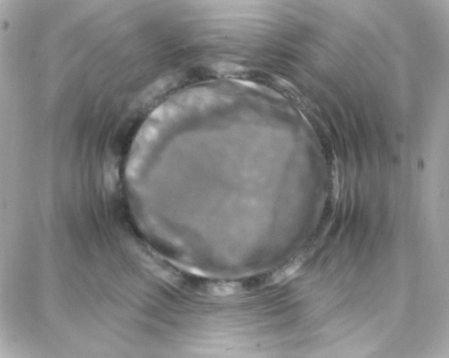 X0000087710618200706011811