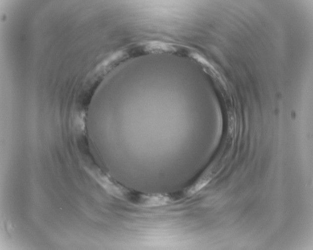 X0000087710621200706011811