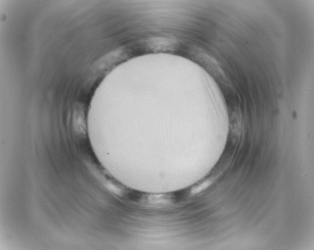 X0000087710622200706011811