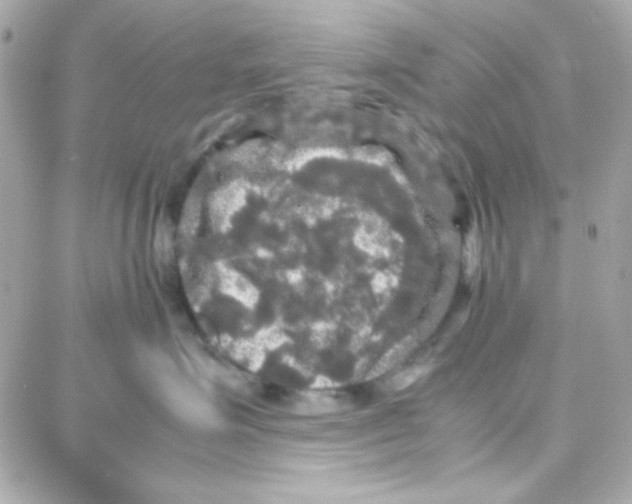 X0000087710623200706011811