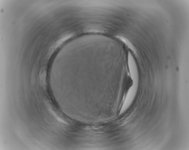 X0000087710627200706011810