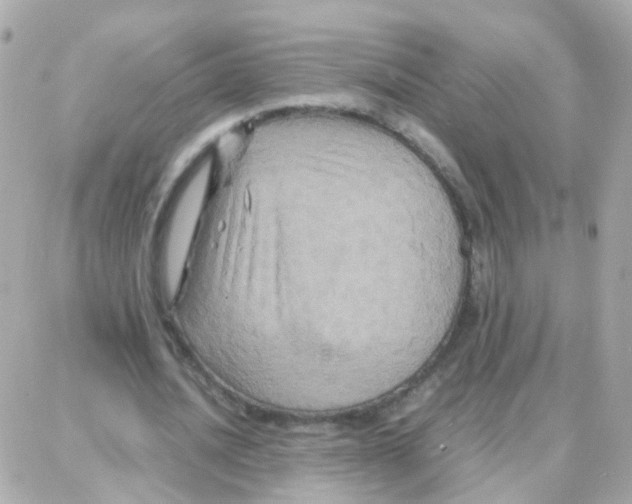 X0000087710628200706011810