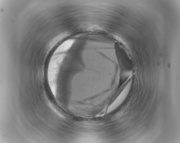 X0000087710630200706011810