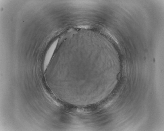 X0000087710641200706011811