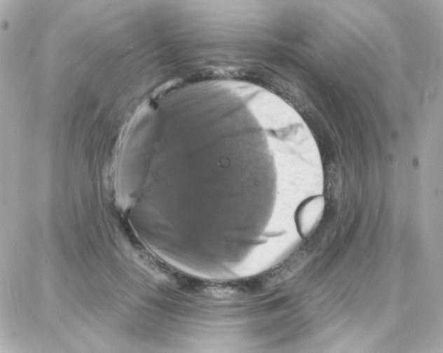 X0000087710650200706011811