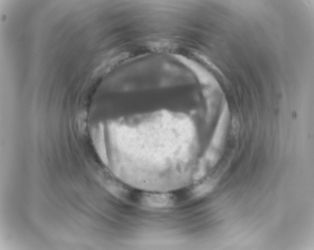 X0000087710671200706011811