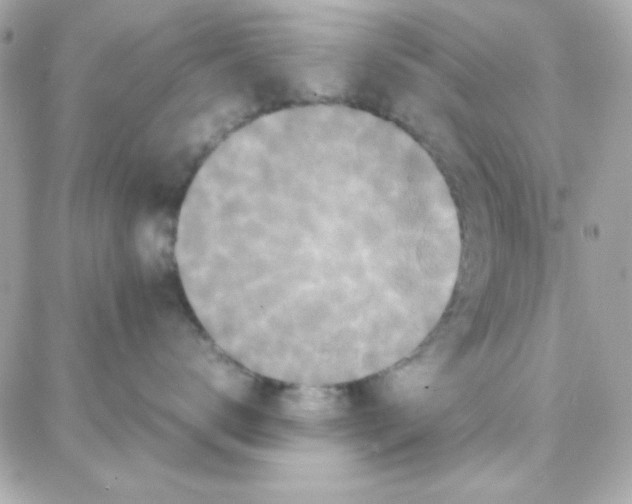 X0000087710672200706011811