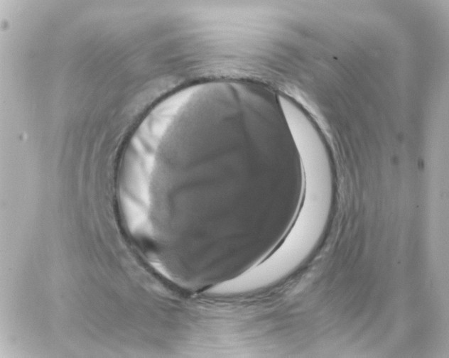 X0000087710673200706011810