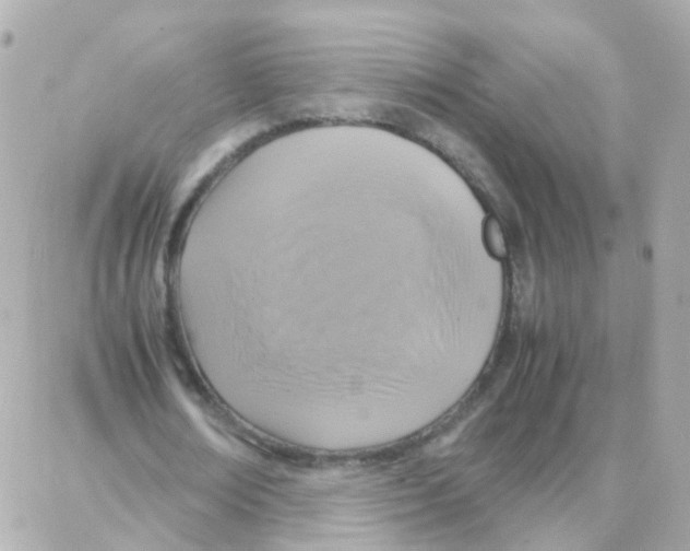X0000087710674200706011810
