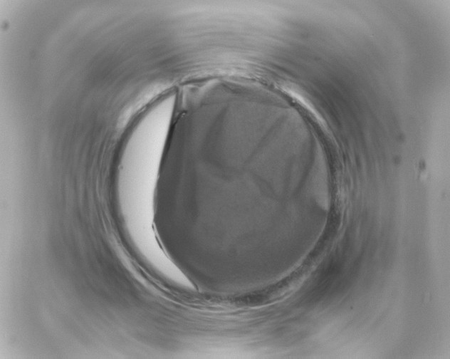 X0000087710677200706011810