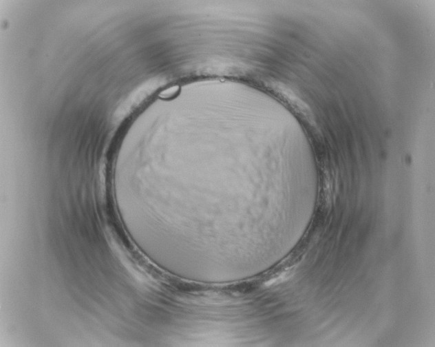 X0000087710678200706011810